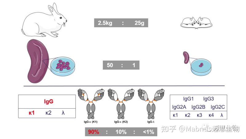 检验检疫技术中心:解读未来发展方向